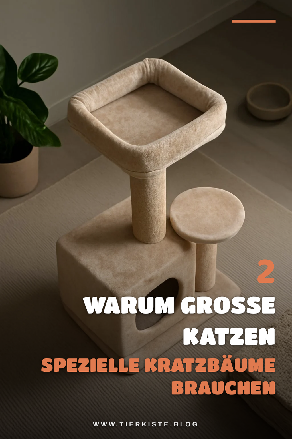 Warum große Katzen spezielle Kratzbäume brauchen