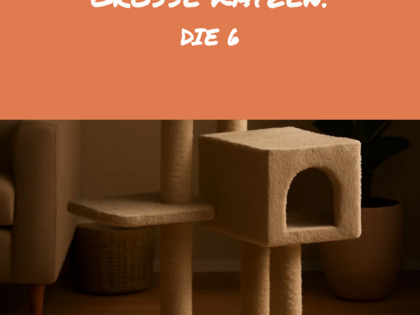 Kratzbaum für große Katzen: Die 6 stabilsten Modelle
