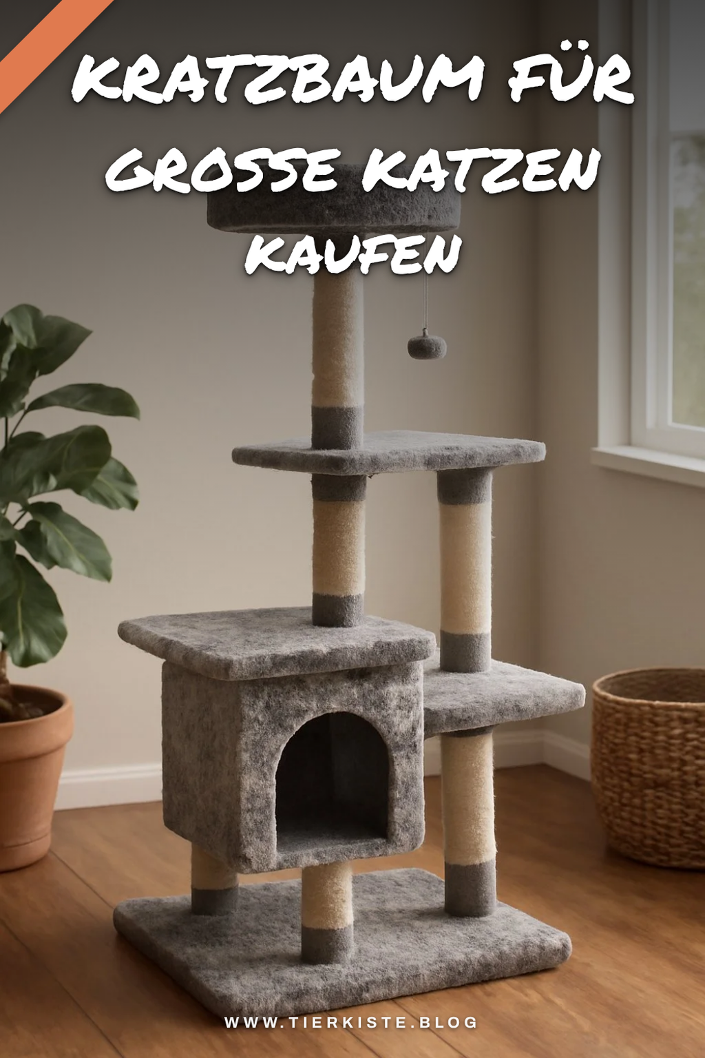 Kratzbaum für große Katzen kaufen: Der große Ratgeber