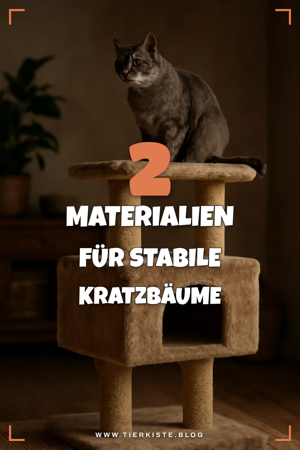 Die besten Materialien für Kratzbäume für große Katzen