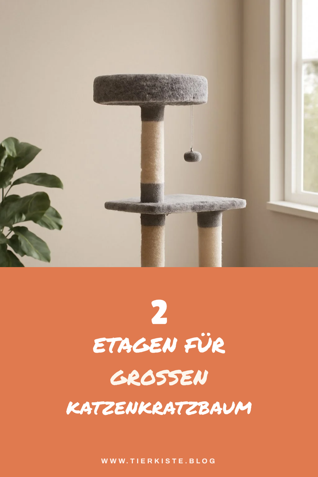 Kratzbaum mit mehreren Etagen
