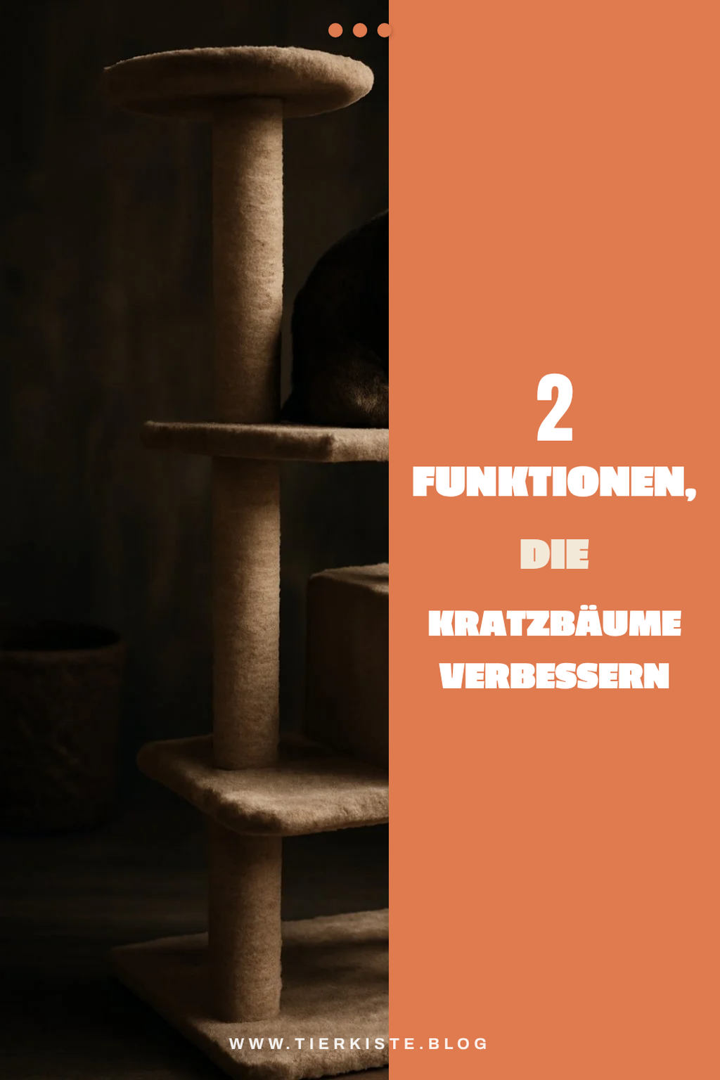 Zusätzliche Funktionen für Kratzbäume
