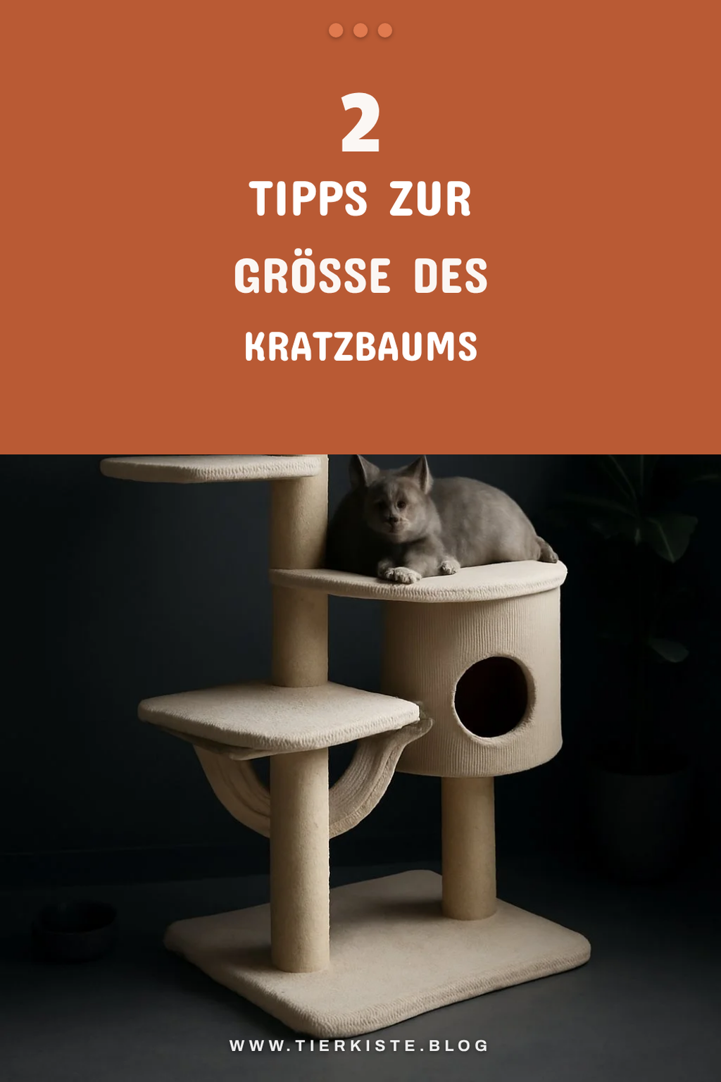 Die richtige Größe für deinen Kratzbaum