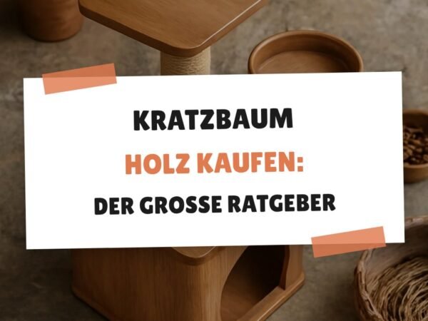Kratzbaum Holz kaufen: Der große Ratgeber 2026