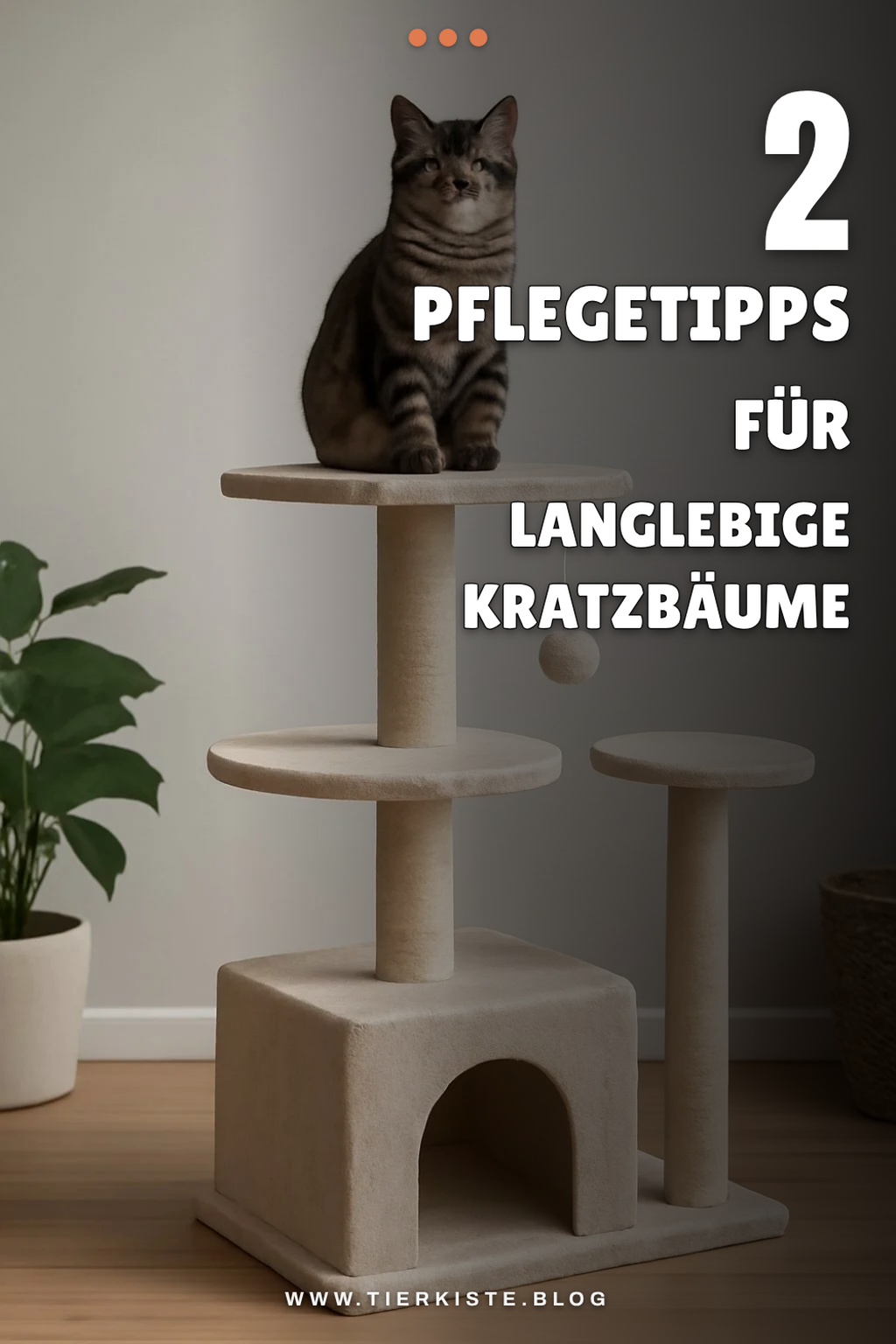 Pflege und Wartung deines Kratzbaums