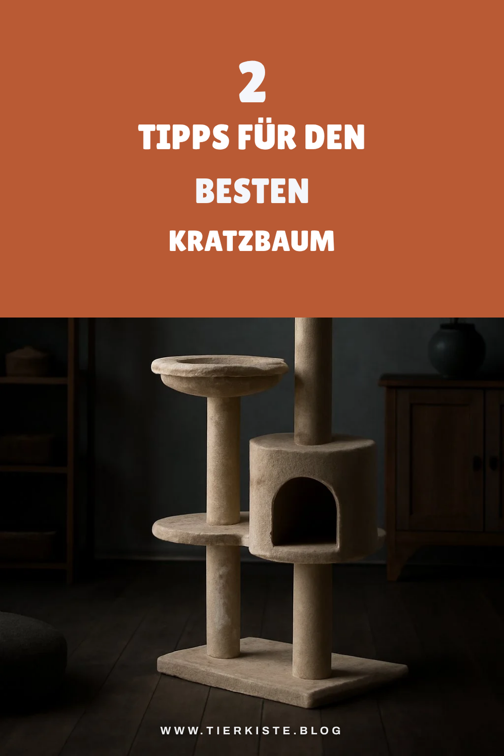 So findest du den perfekten Kratzbaum für deine Katze