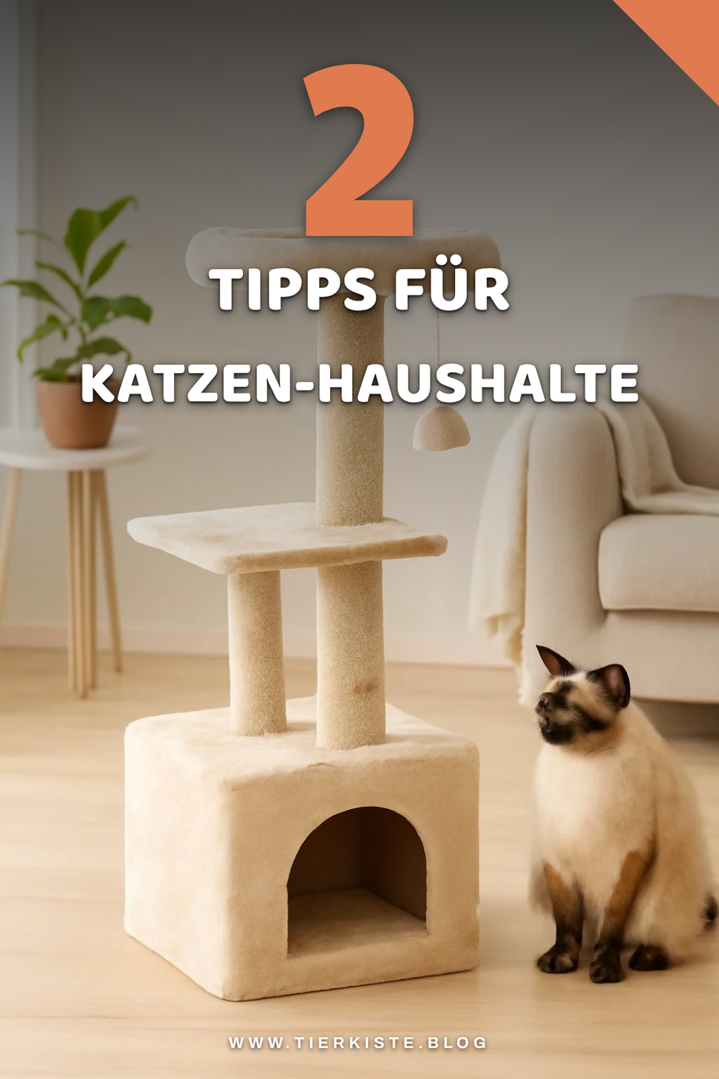 Kratzbäume für mehrere Katzen auswählen