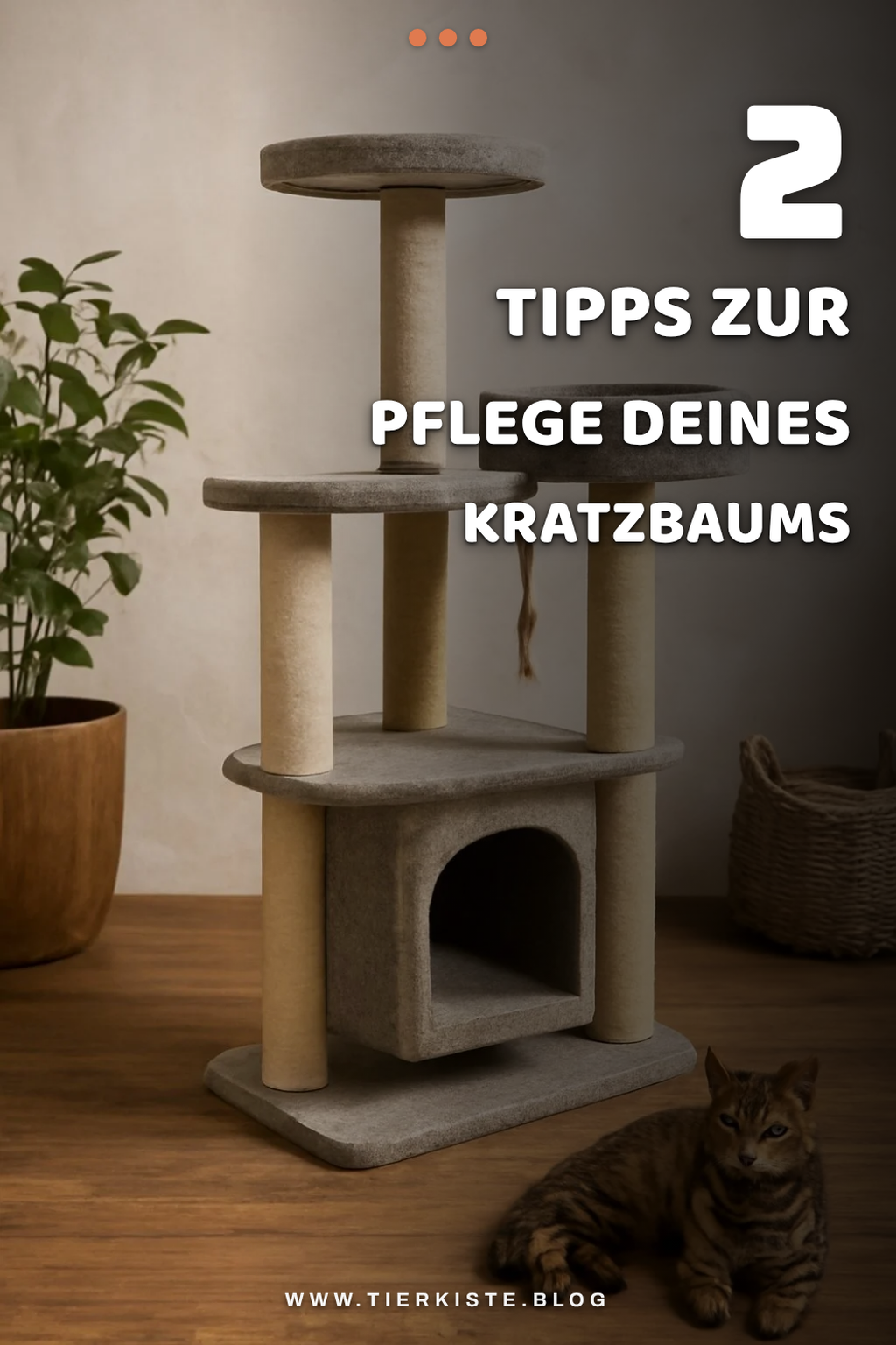 Pflege und Wartung deines Kratzbaums