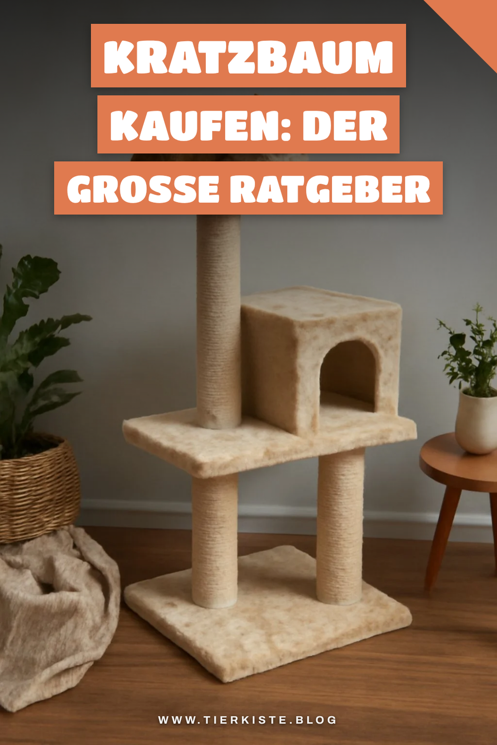 Kratzbaum kaufen: Der große Ratgeber für Katzenhalter