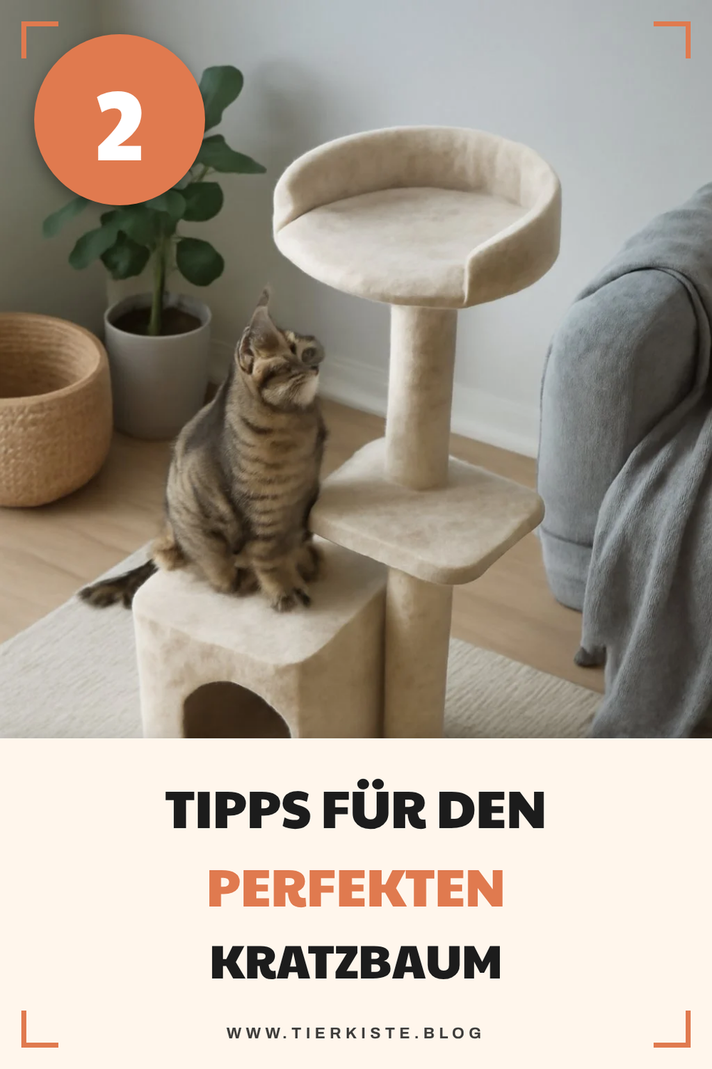 So wählst du den perfekten Kratzbaum für deine Katze