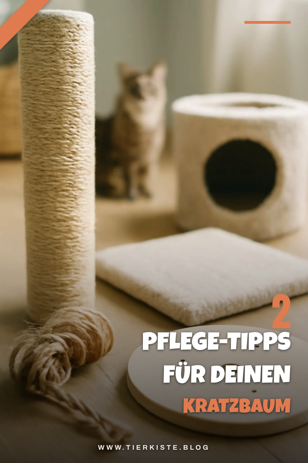 Pflege und Wartung des Kratzbaums
