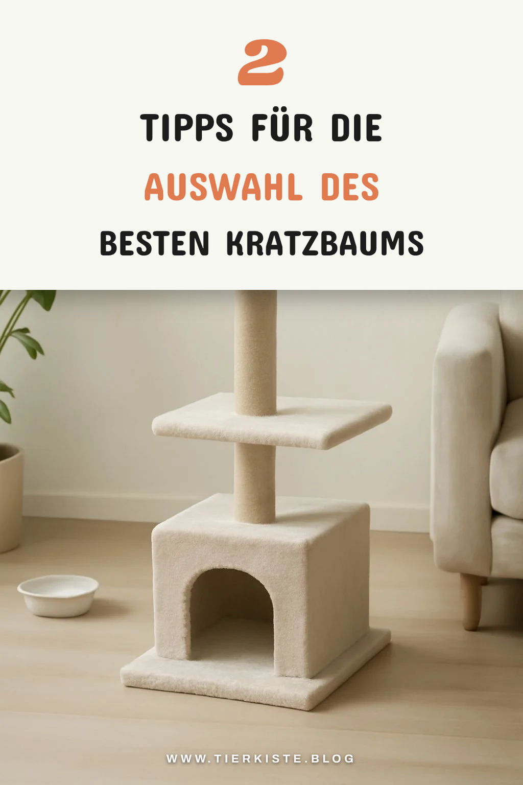 So findest du den perfekten Kratzbaum für kleine Wohnungen