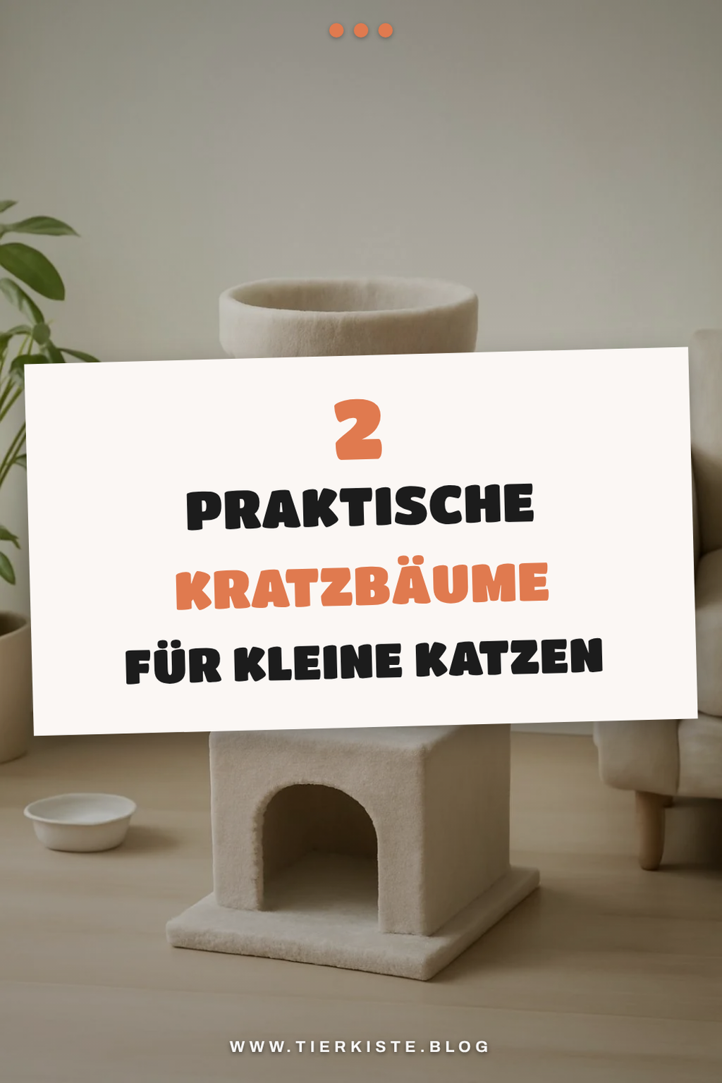 Praktische Kratzbäume für kleine Katzen