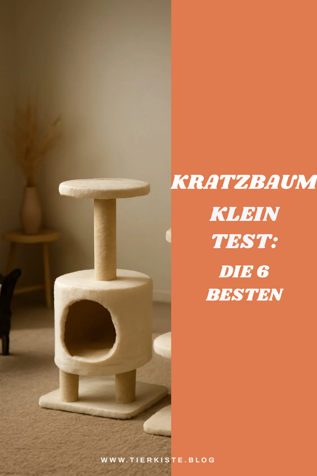 Kratzbaum klein Test: Die 6 besten kompakten Modelle