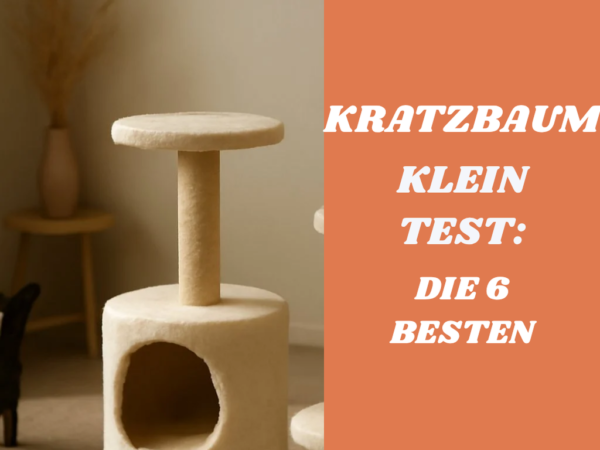 Kratzbaum klein Test: Die 6 besten kompakten Modelle