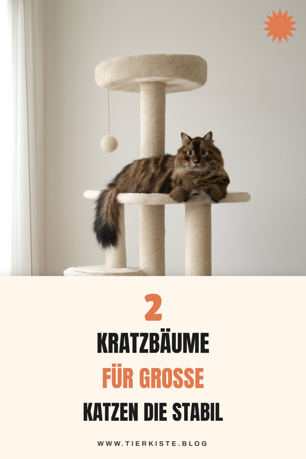 Die 5 besten Kratzbäume für große Katzen, die stabil und langlebig sind