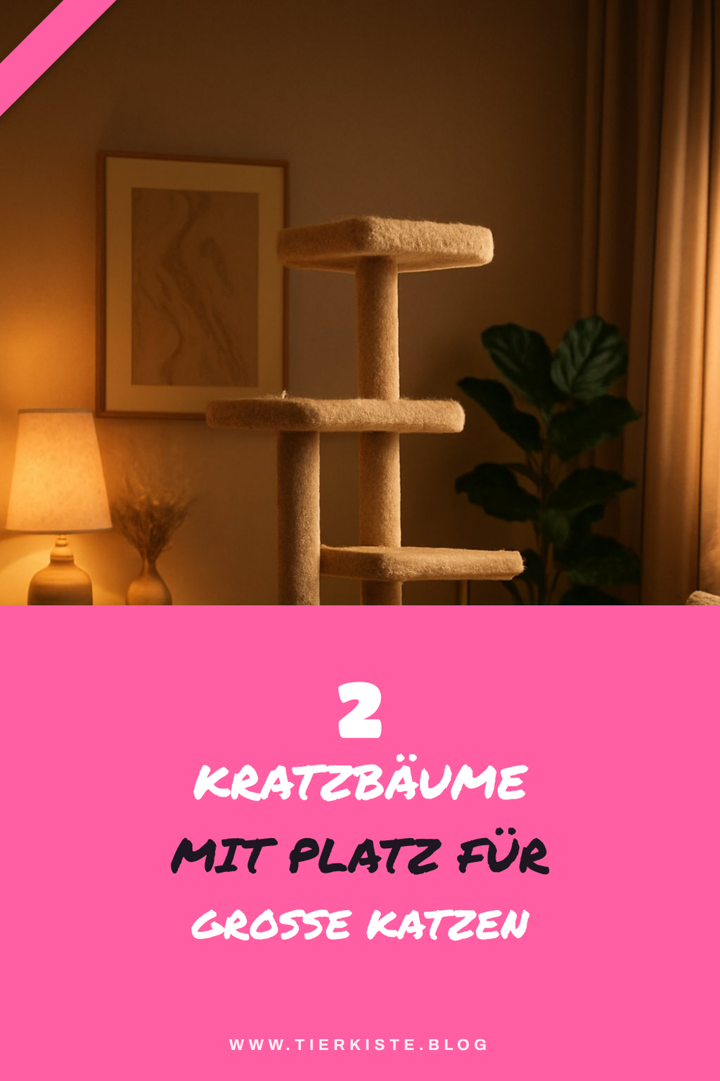 3 Kratzbäume mit zusätzlichem Platz für große Katzen