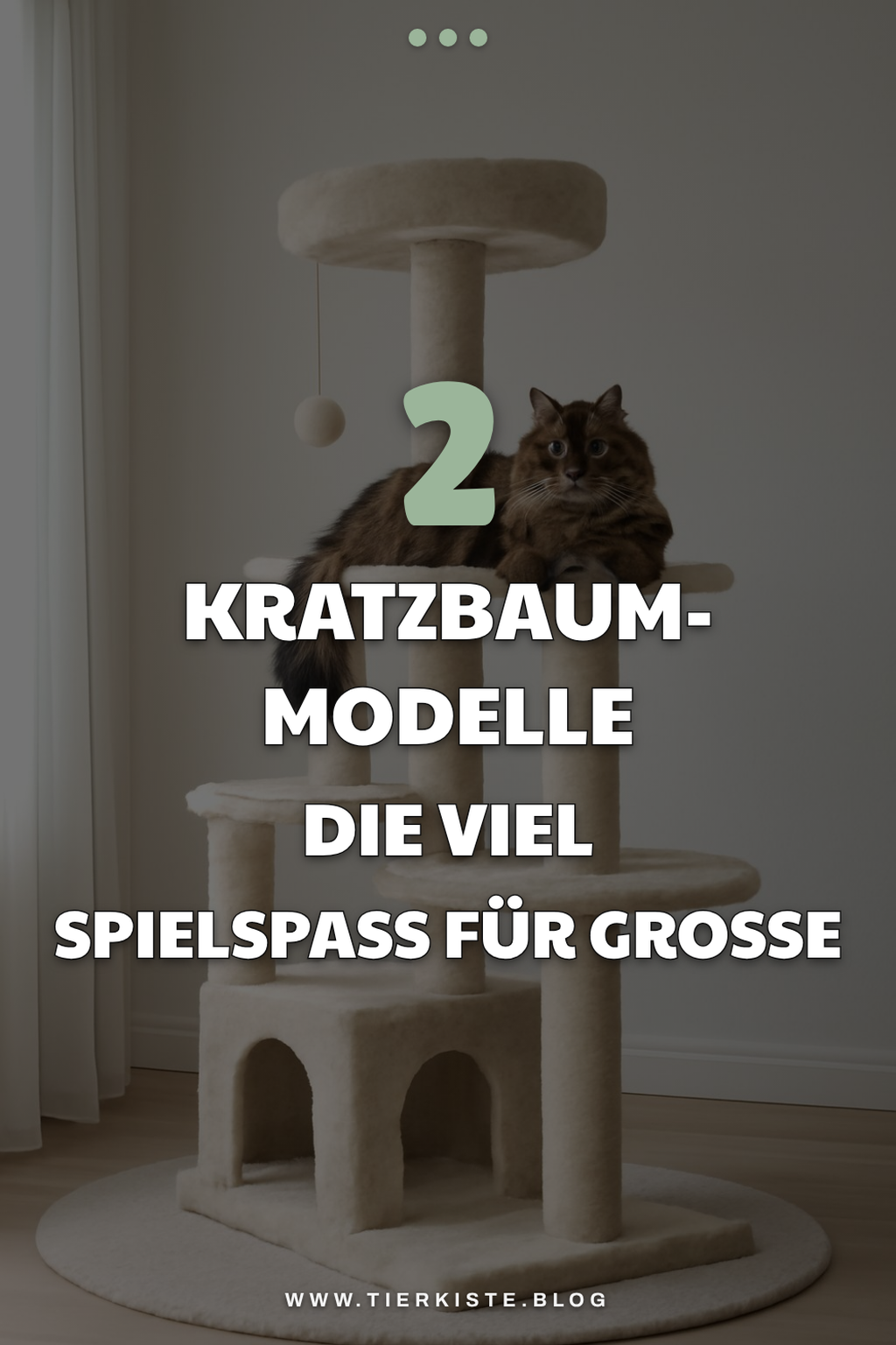 Diese 4 Kratzbaum-Modelle bieten viel Spielspaß für große Katzen