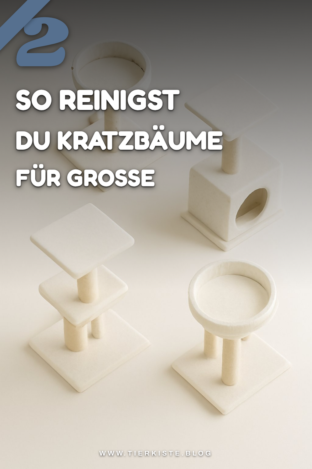 So reinigst du Kratzbäume für große Katzen richtig