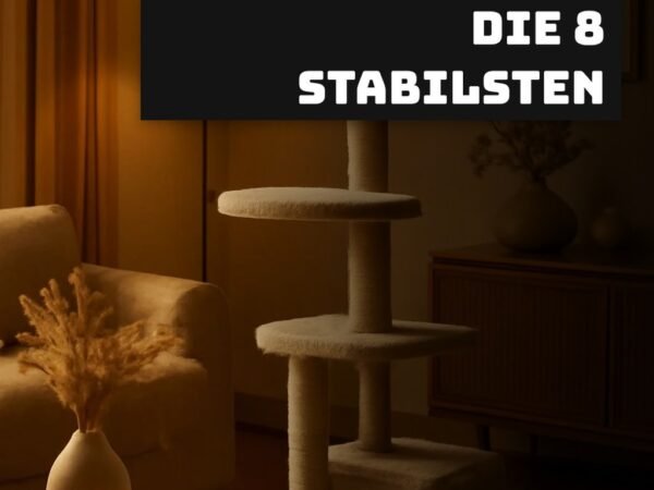 Kratzbaum Test 2026: Die 8 stabilsten Modelle für große Katzen