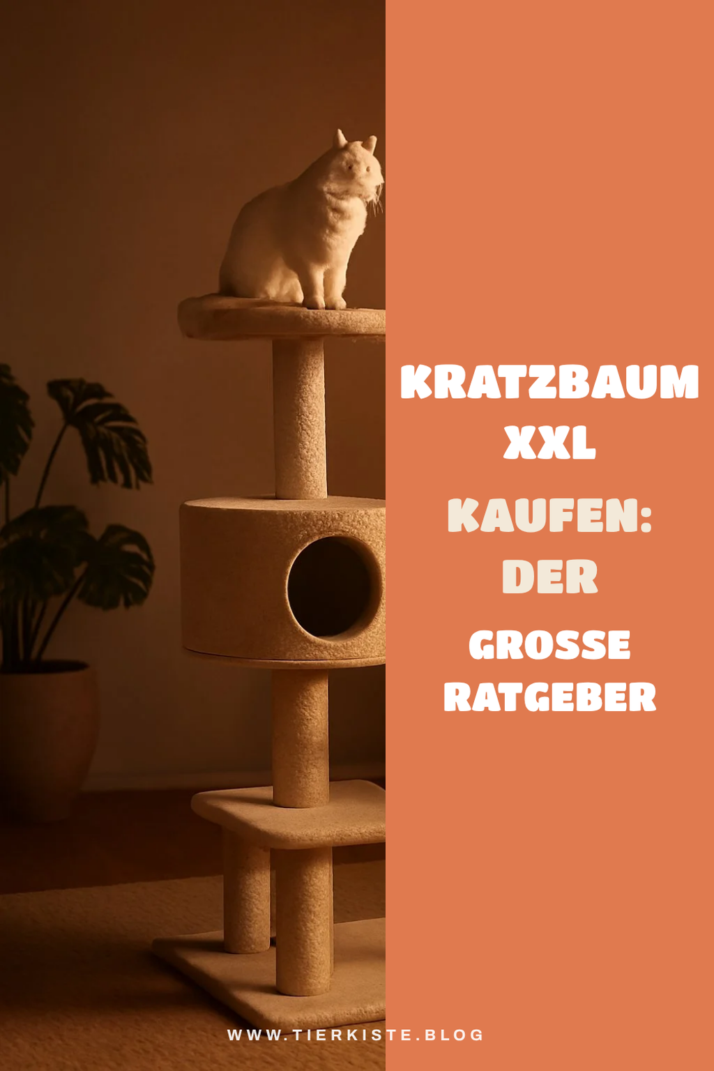 Kratzbaum Xxl kaufen: Der große Ratgeber 2026