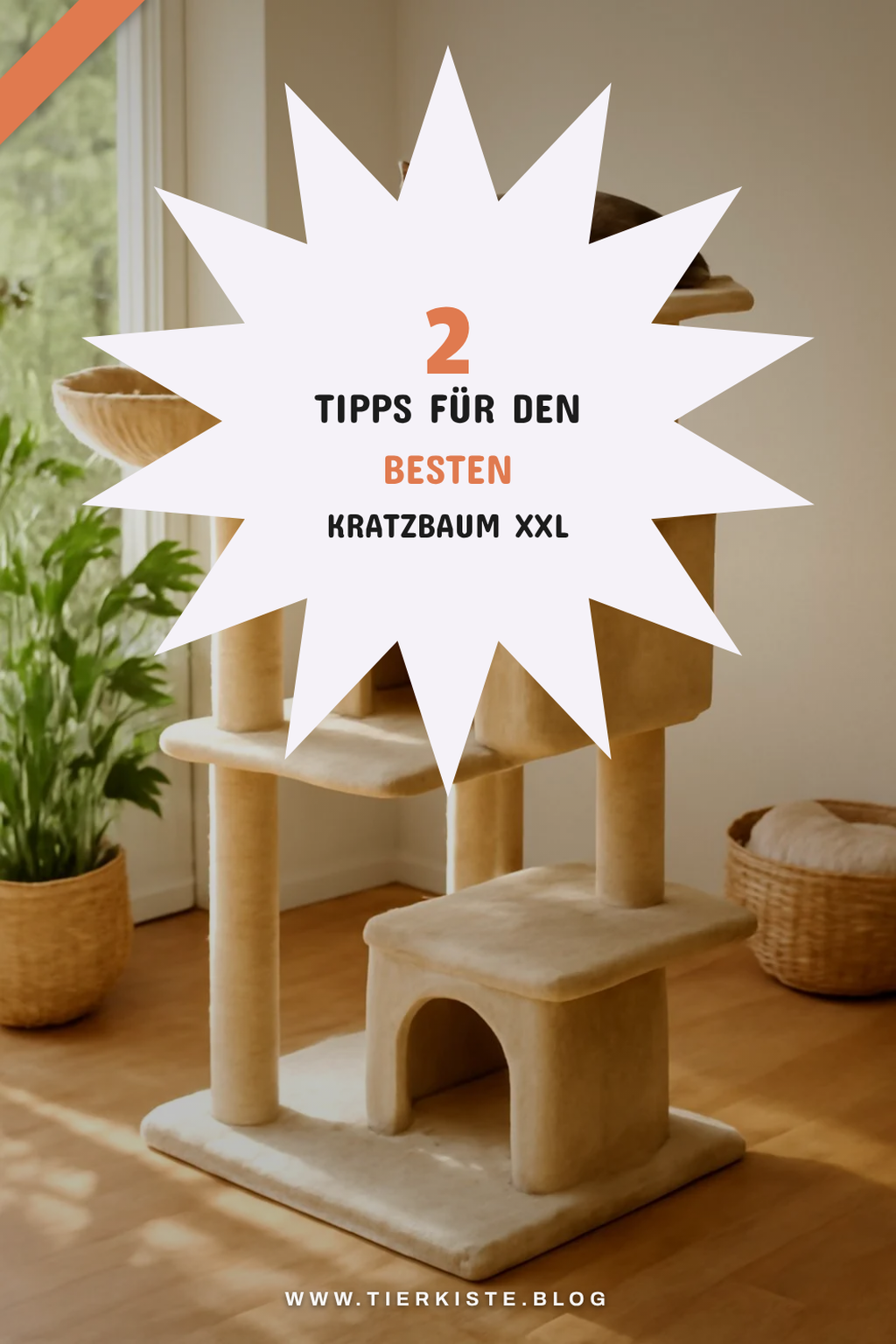 So findest du den perfekten Kratzbaum XXL für deine Katze