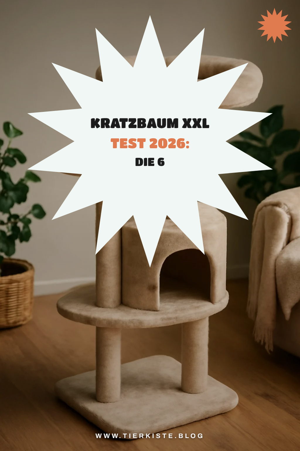 Kratzbaum XXL Test 2026: Die 6 stabilsten Modelle