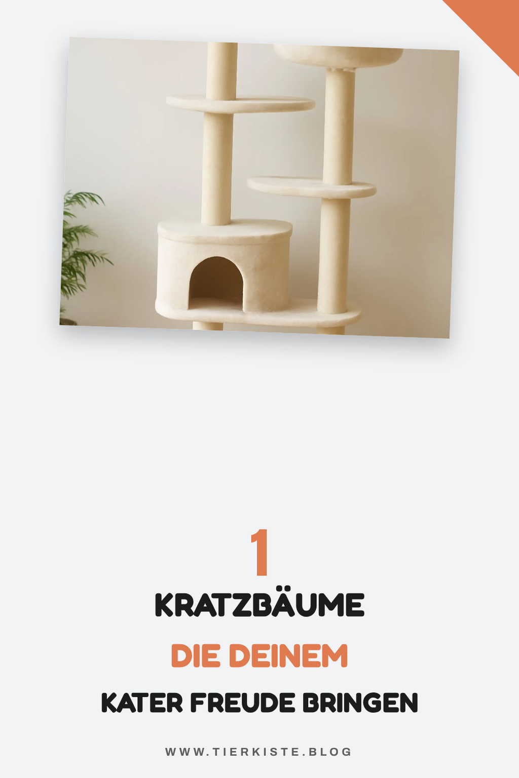 Die 7 stabilsten Kratzbäume für große Katzen