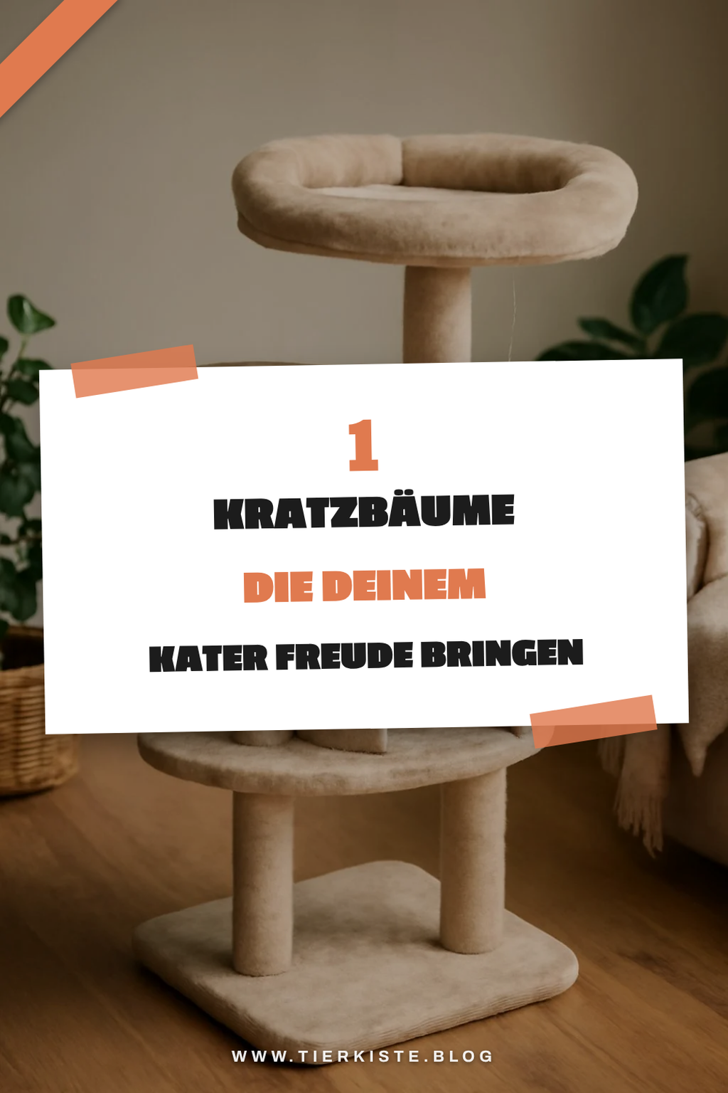 Mehr Empfehlungen aus dieser Kategorie