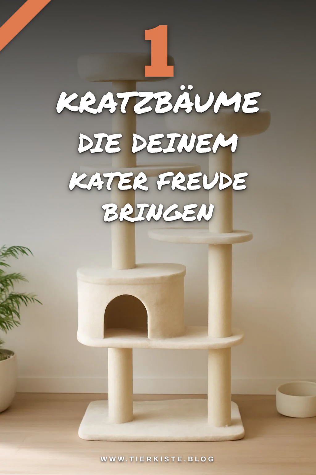 Bonus-Ideen für mehr Auswahl