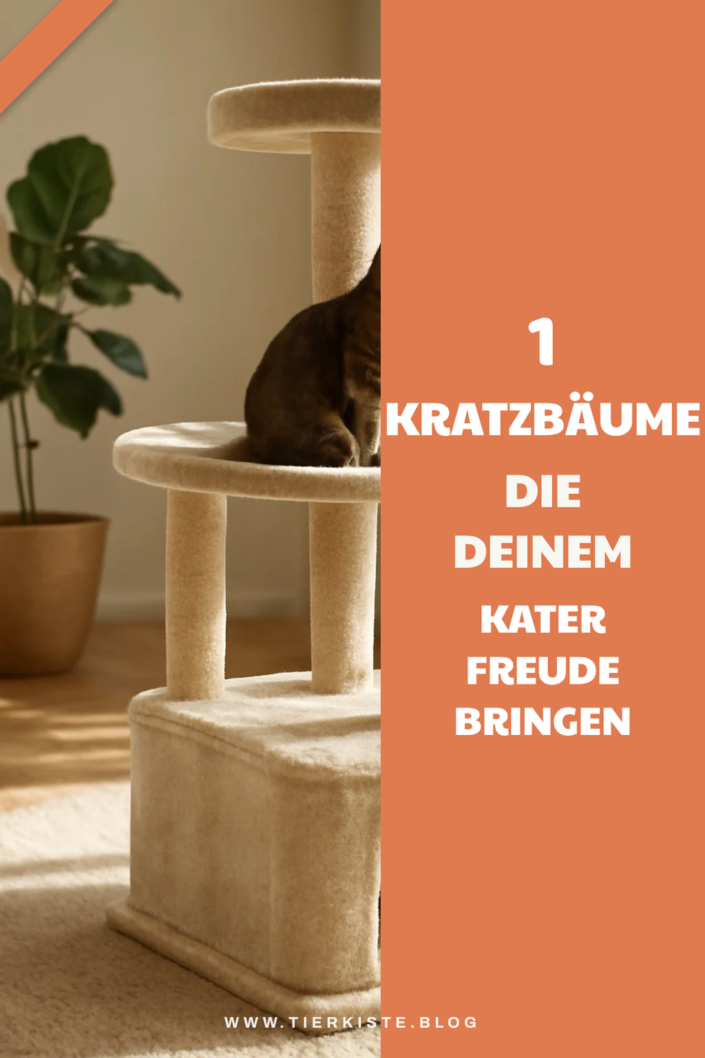 Diese 3 Picks lohnen sich extra