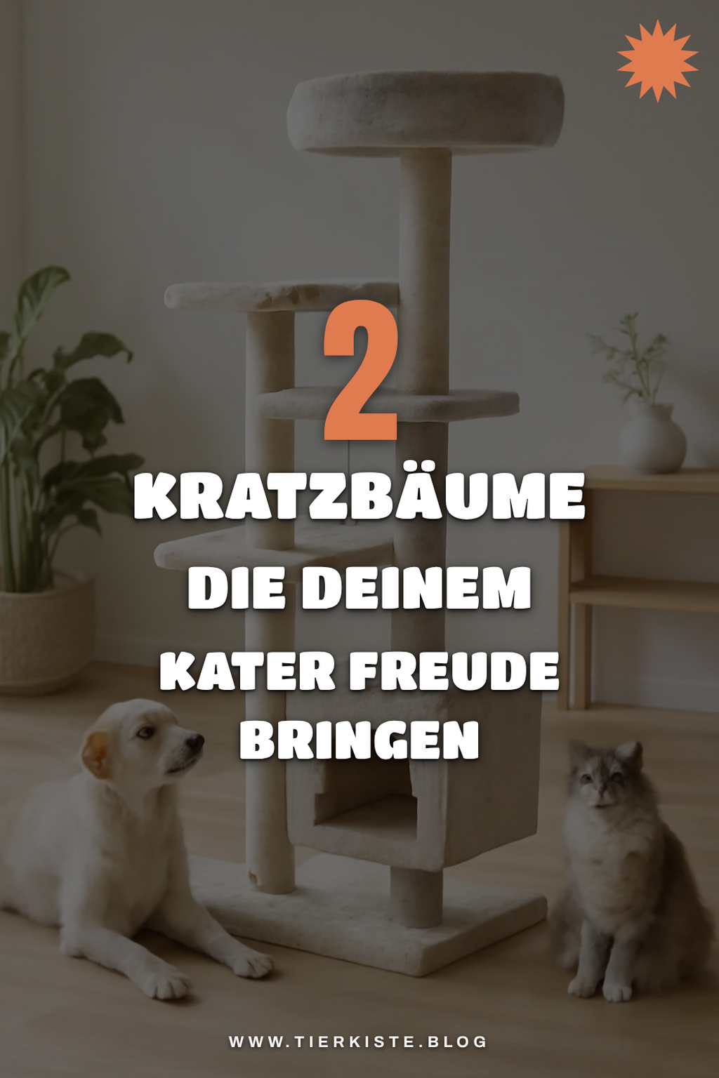 Zusätzliche Tipps, die noch reinpassen