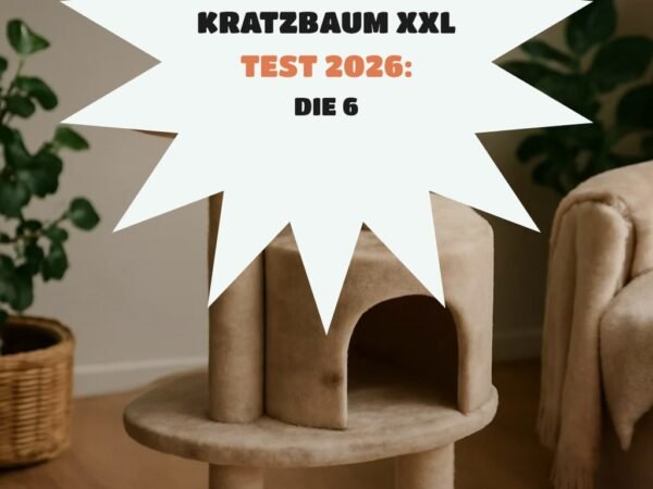 Kratzbaum XXL Test 2026: Die 6 stabilsten Modelle