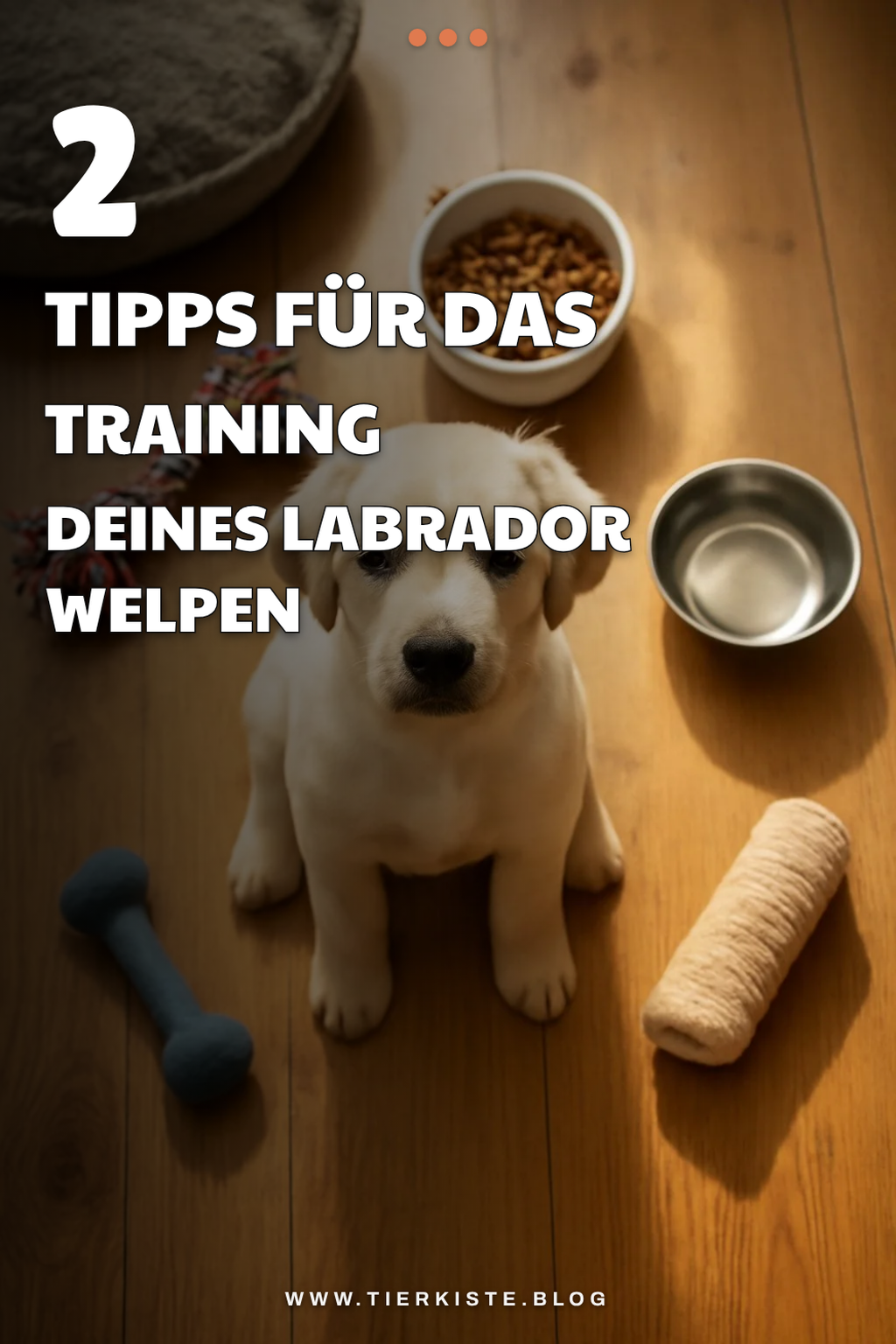 Trainingstipps für deinen Labrador Welpen