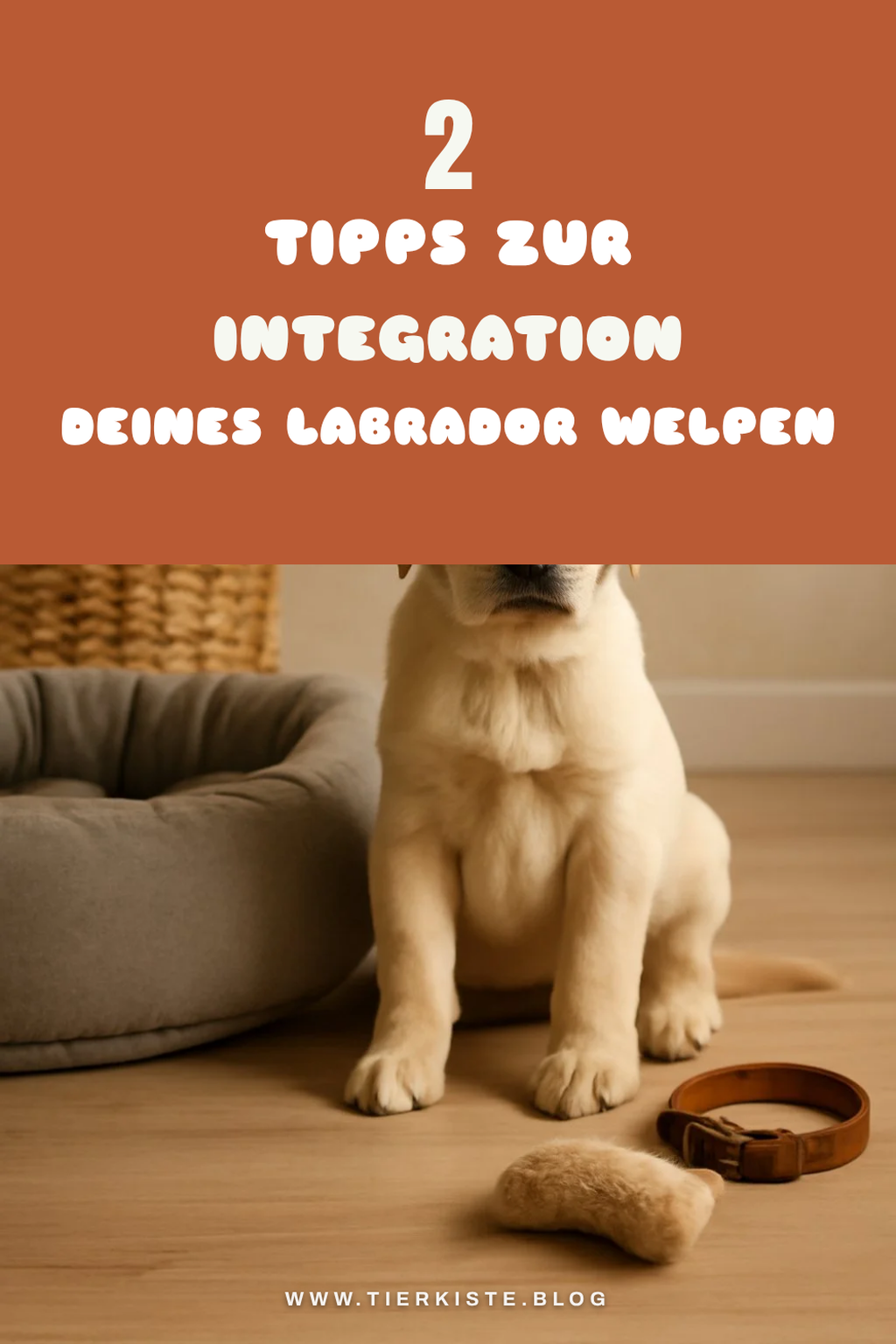 Diese 4 Tipps zur Integration in dein Zuhause
