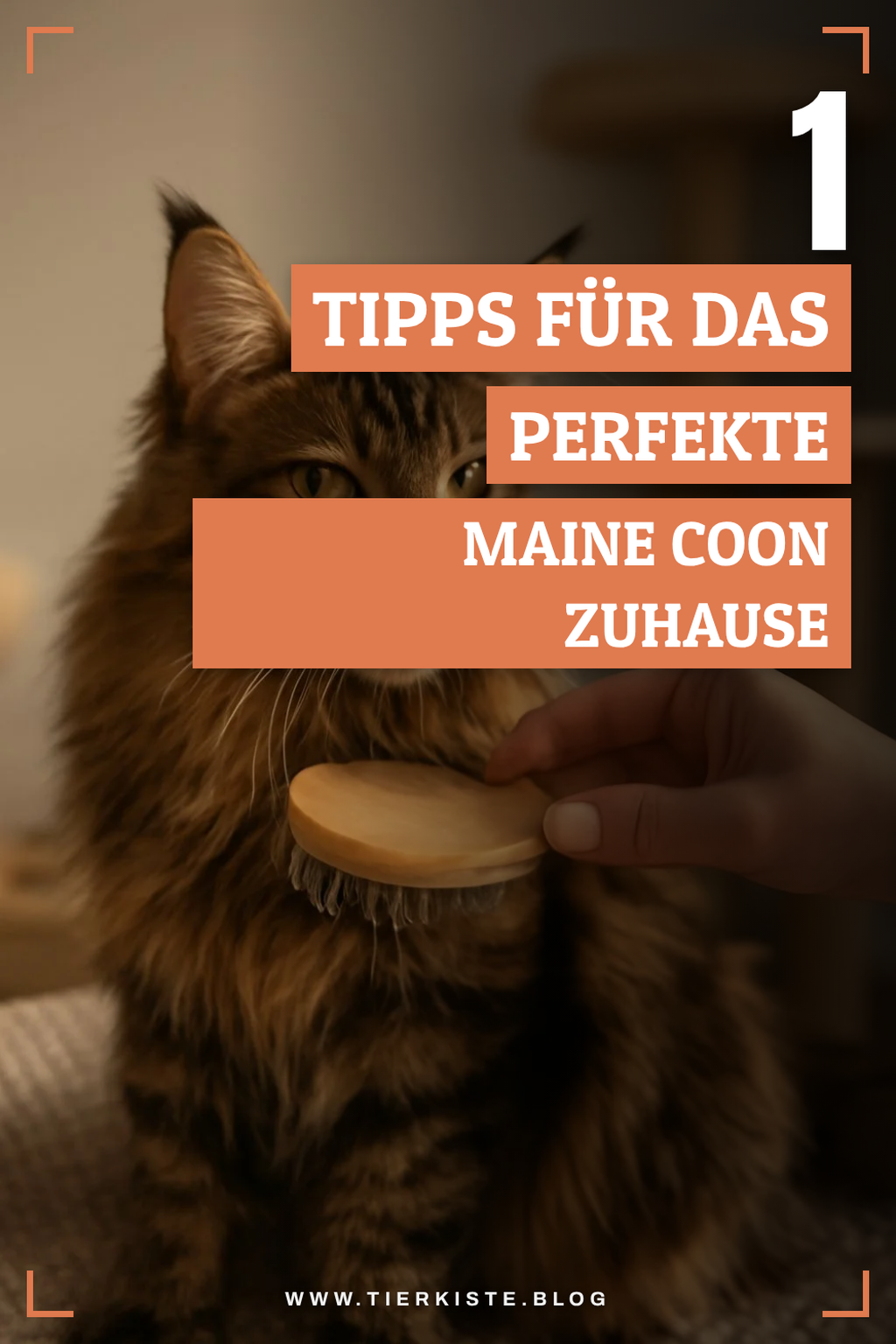 Mehr Empfehlungen aus dieser Kategorie