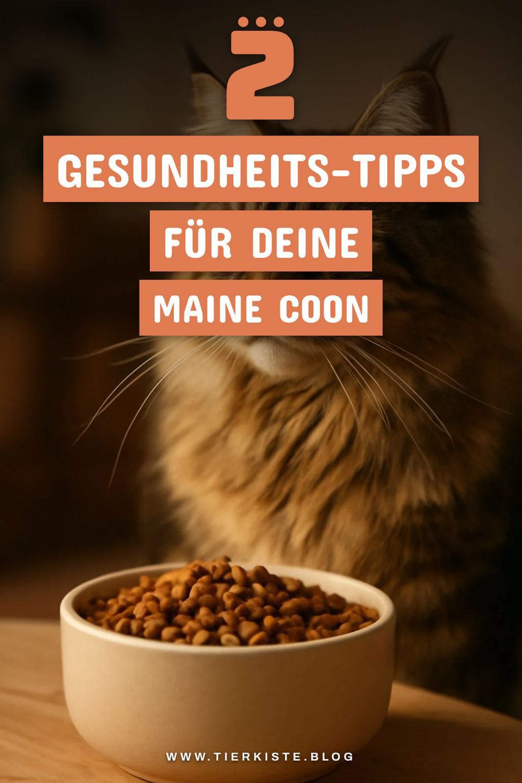 Gesundheitsvorsorge für deine Maine Coon