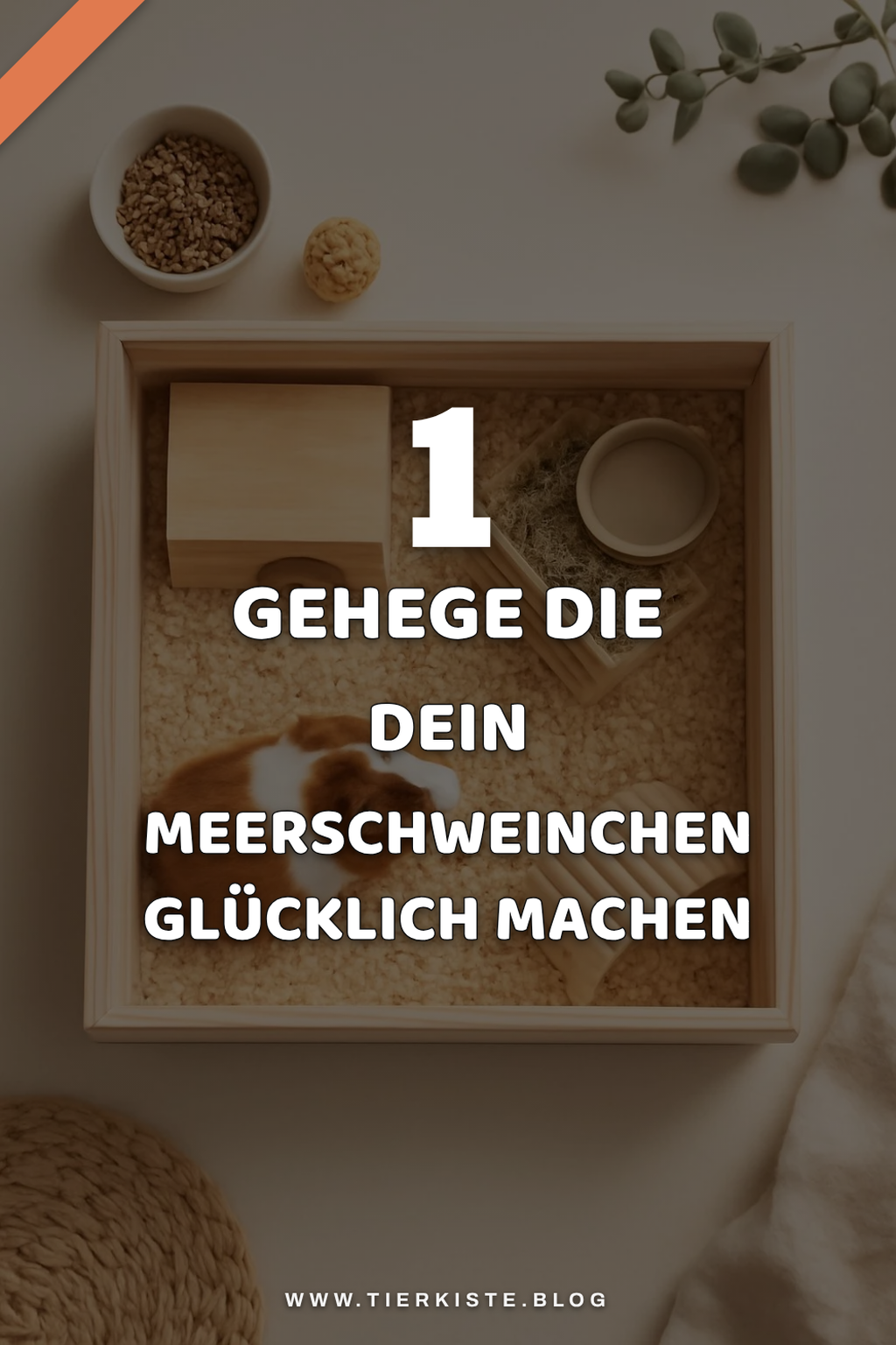 Finde das perfekte Meerschweinchen-Gehege in 6 Schritten