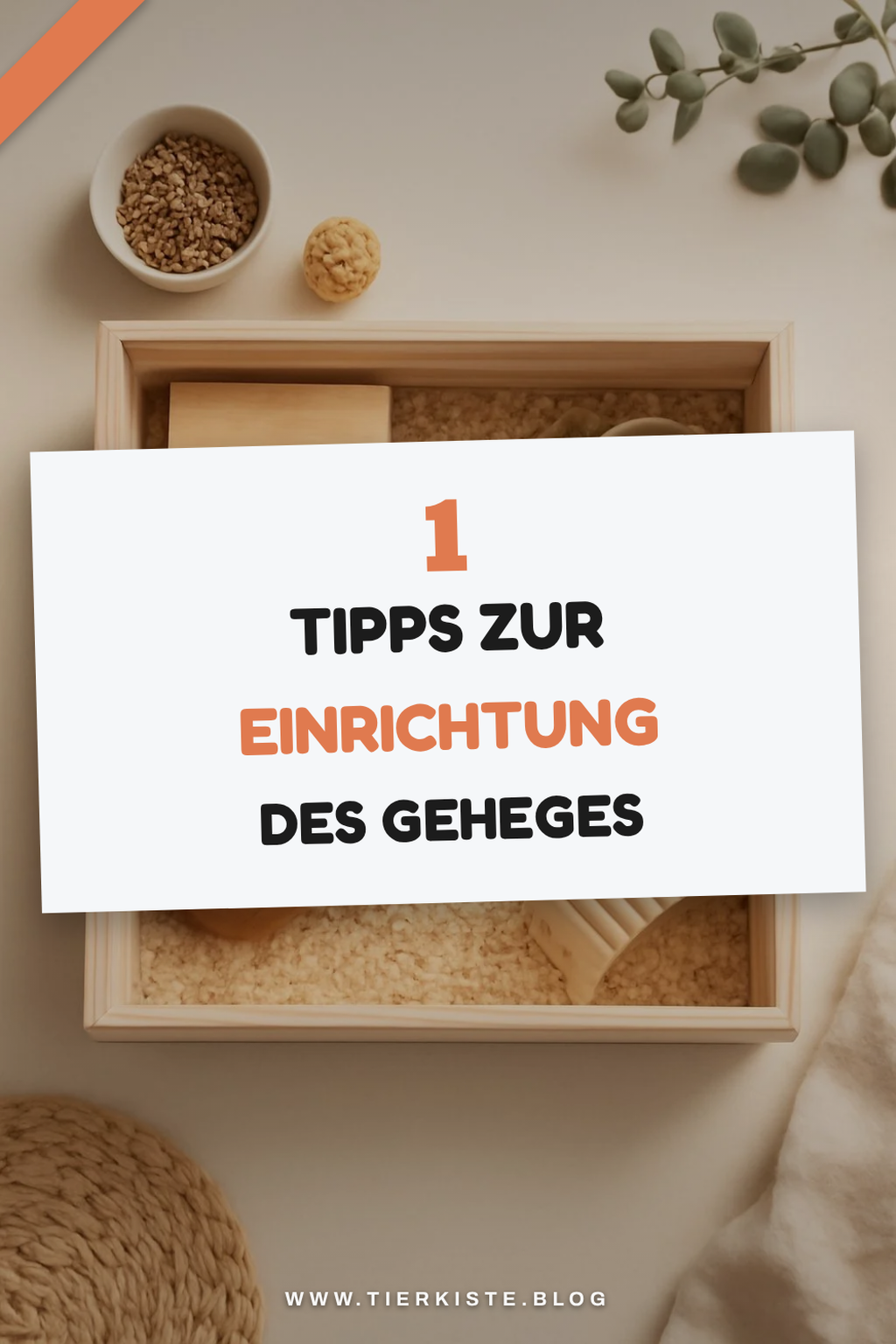 Wie du das Gehege optimal einrichtest