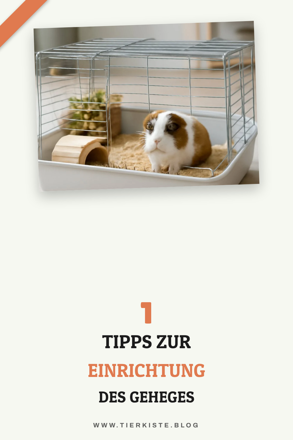 Mehr Empfehlungen aus dieser Kategorie