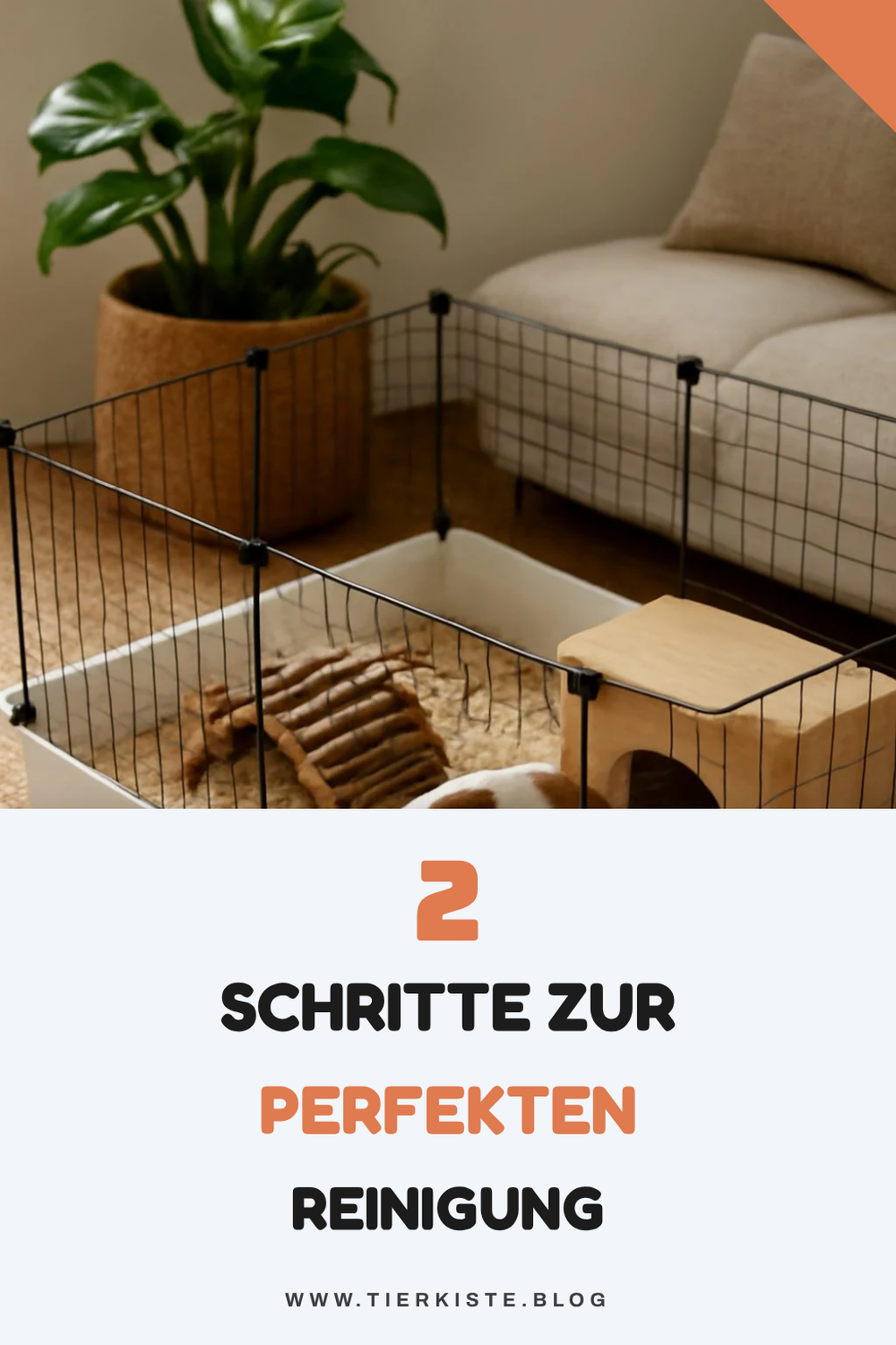 So reinigst du das Gehege richtig