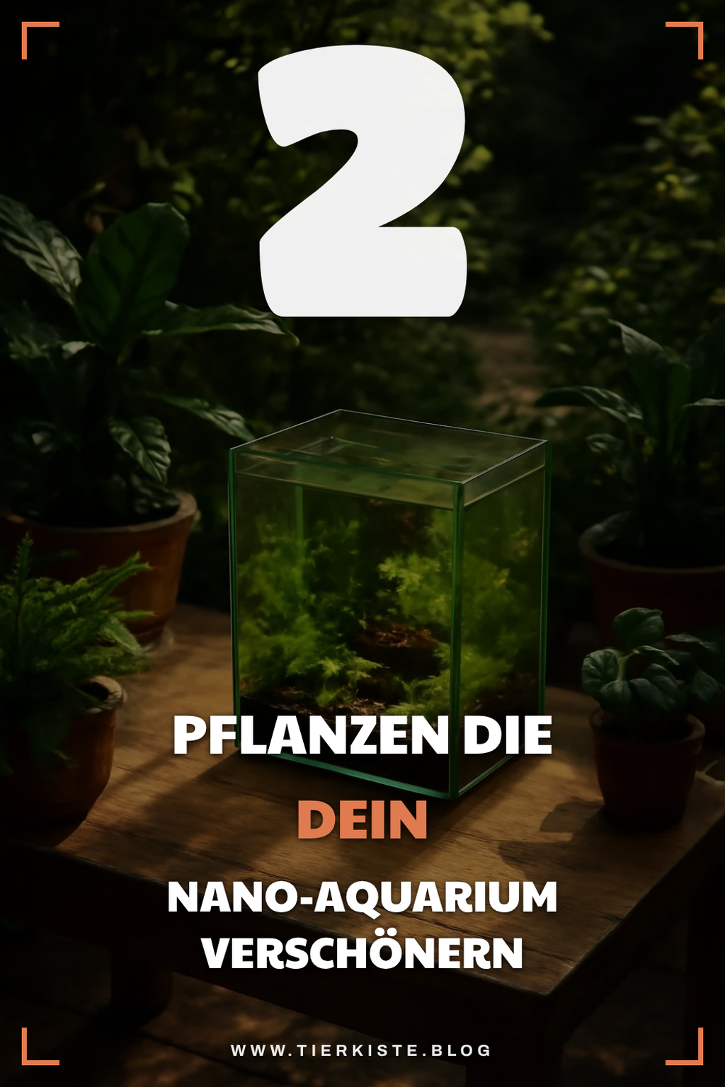 So wählst du die besten Pflanzen für dein Nano-Aquarium