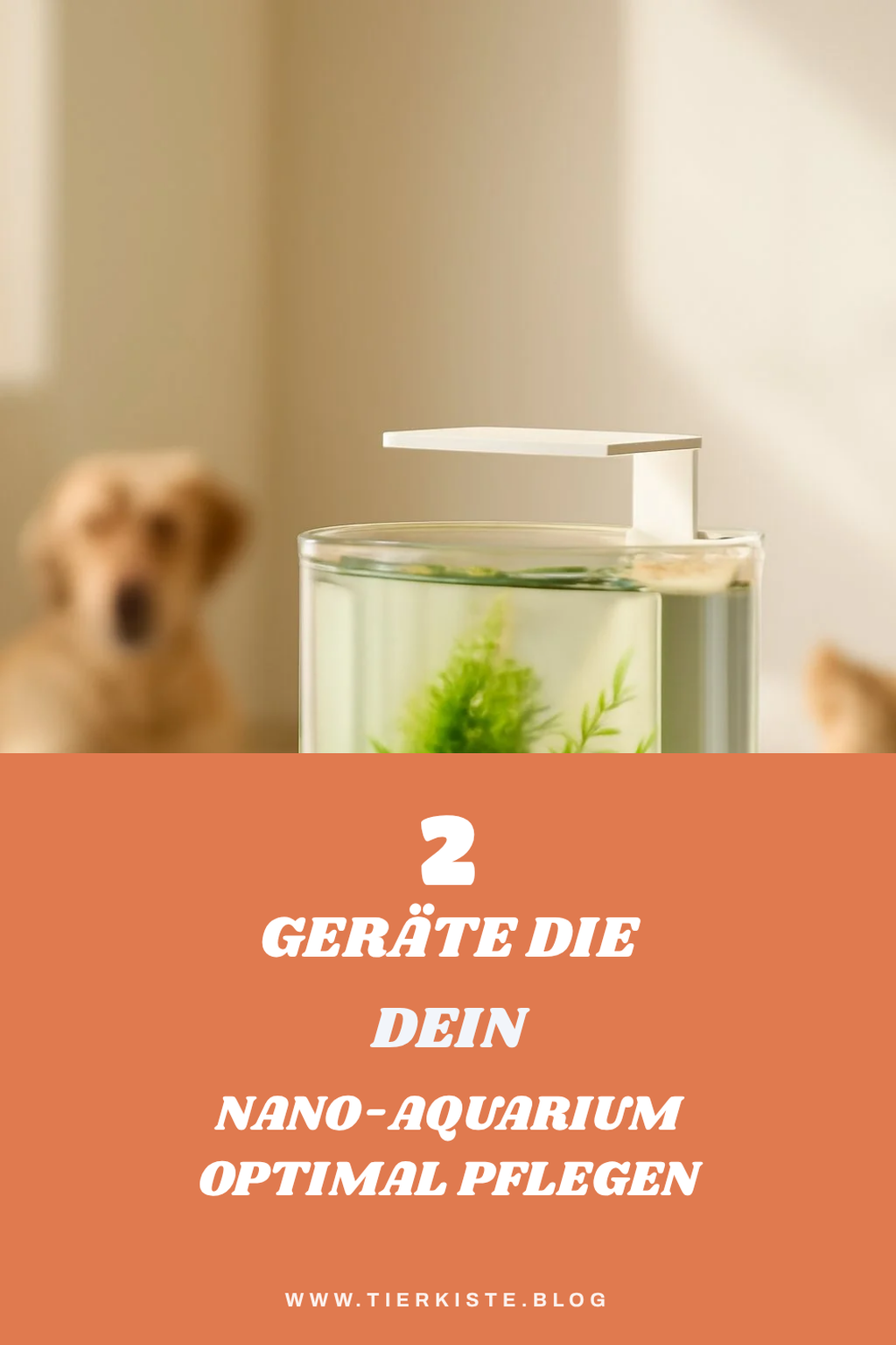 Die richtige Technik für dein kleines Becken