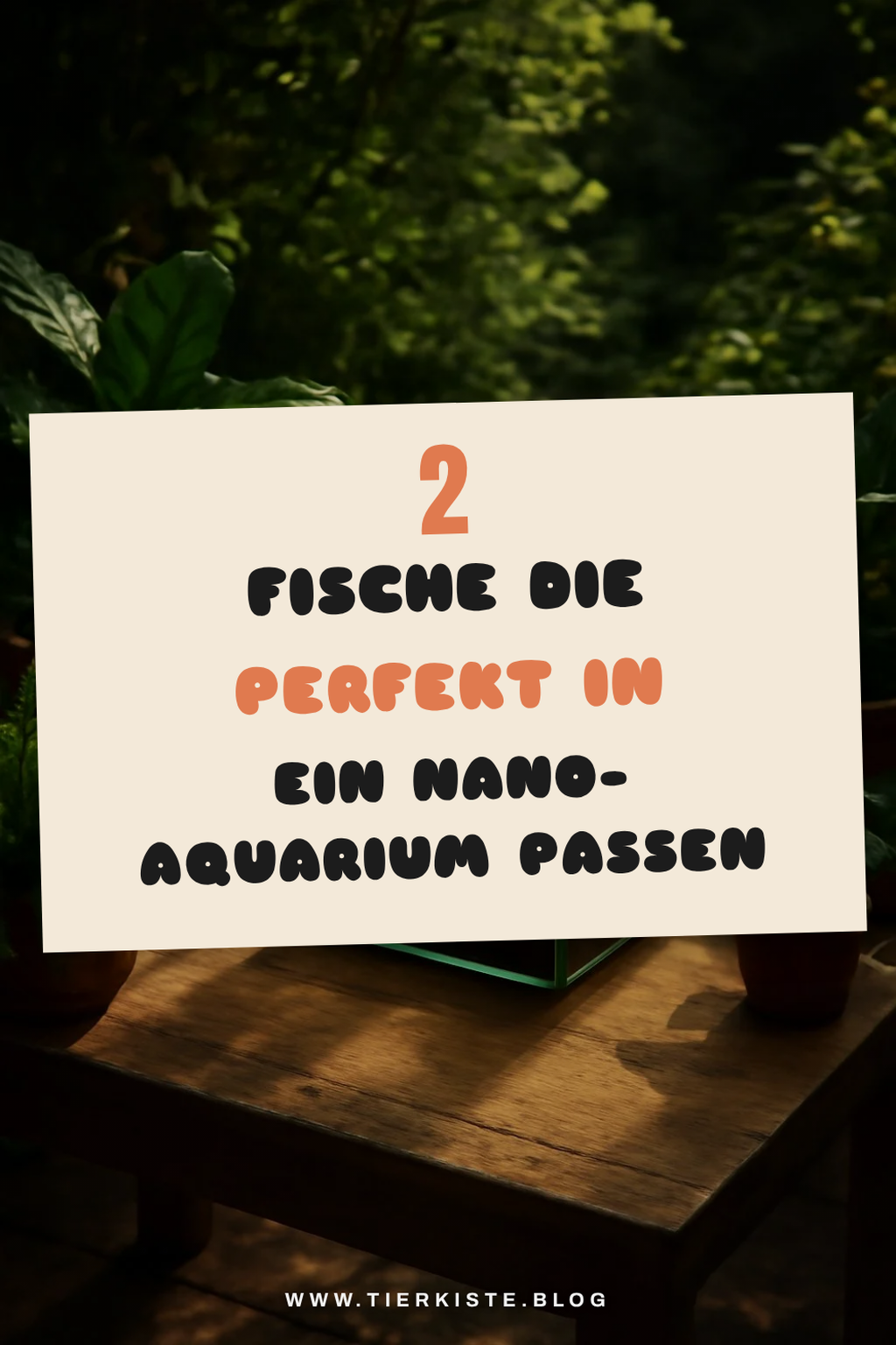 Fische auswählen für dein kleines Wasserbiotop
