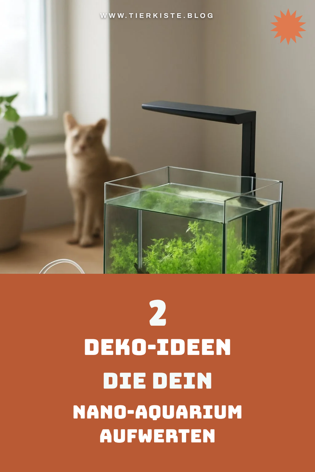 Dekorationstipps für dein kleines Wasserparadies