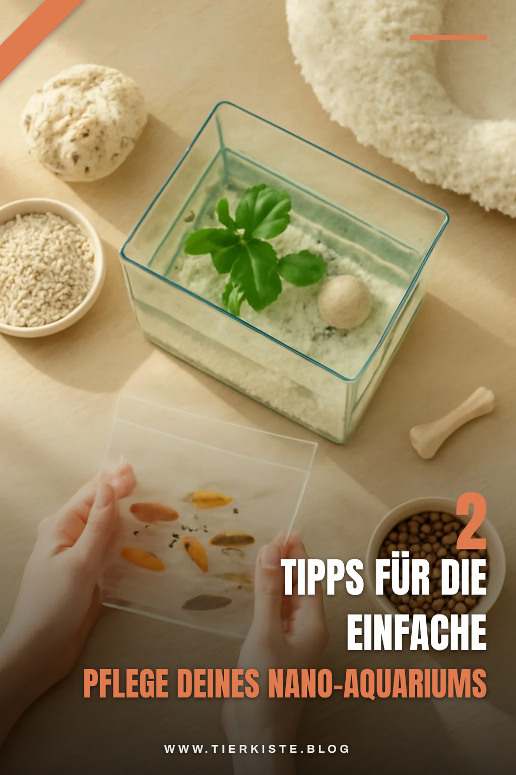 Pflege und Wartung deines Nano-Aquariums