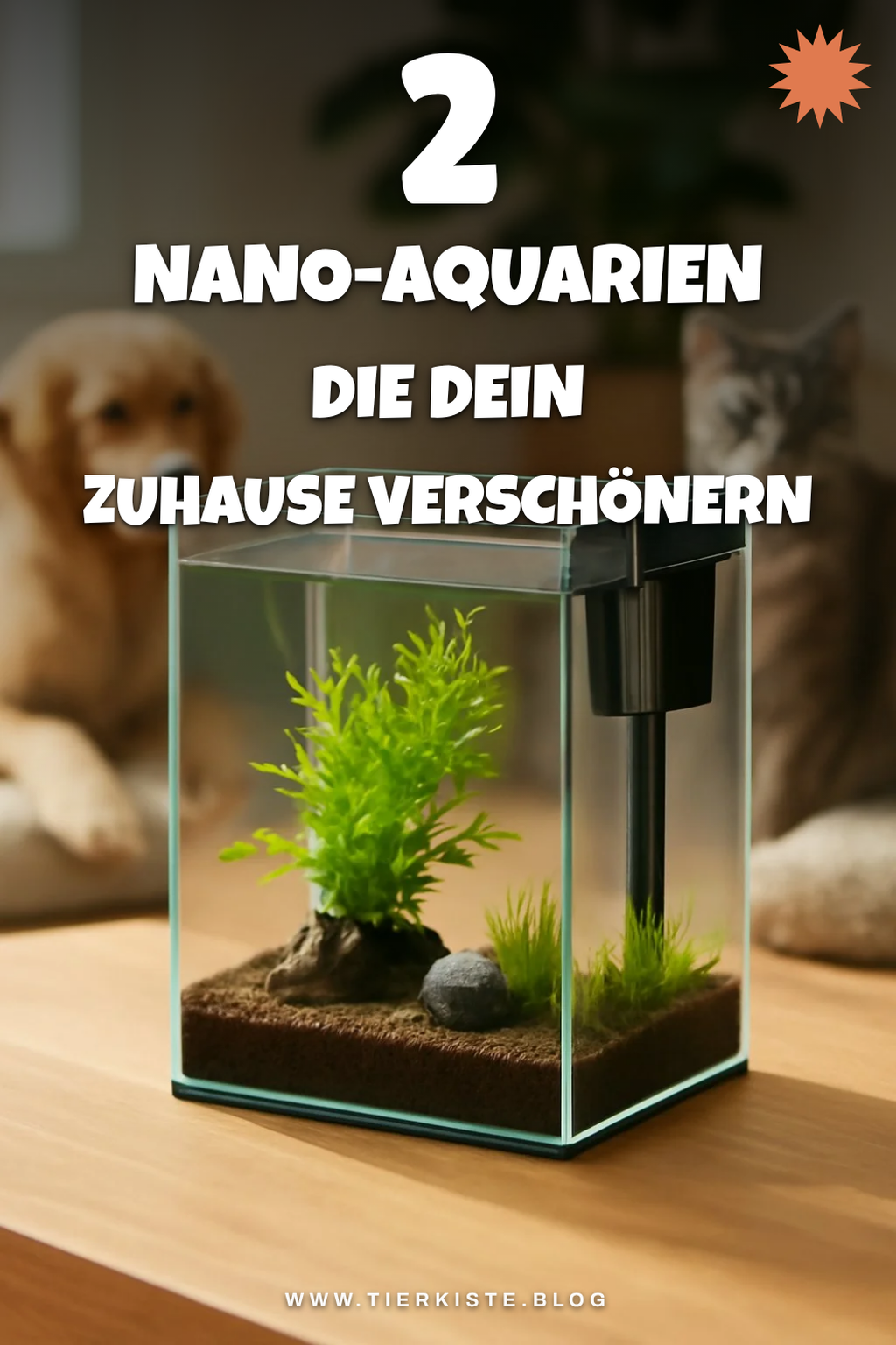 So findest du das perfekte Nano-Aquarium für dein Zuhause