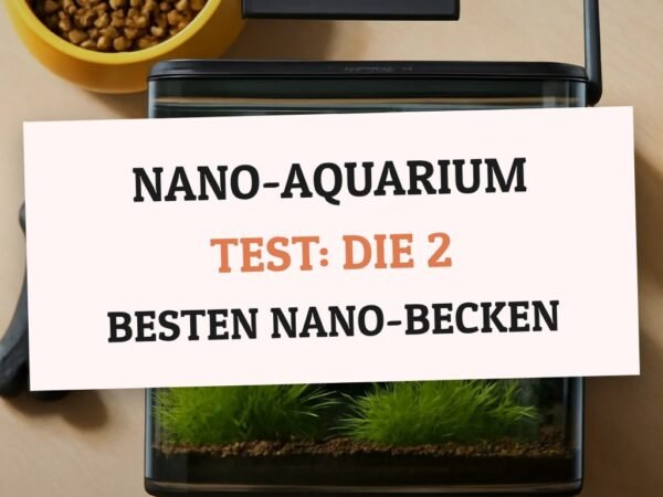 Nano-Aquarium Test: Die 2 besten Nano-Becken im Vergleich
