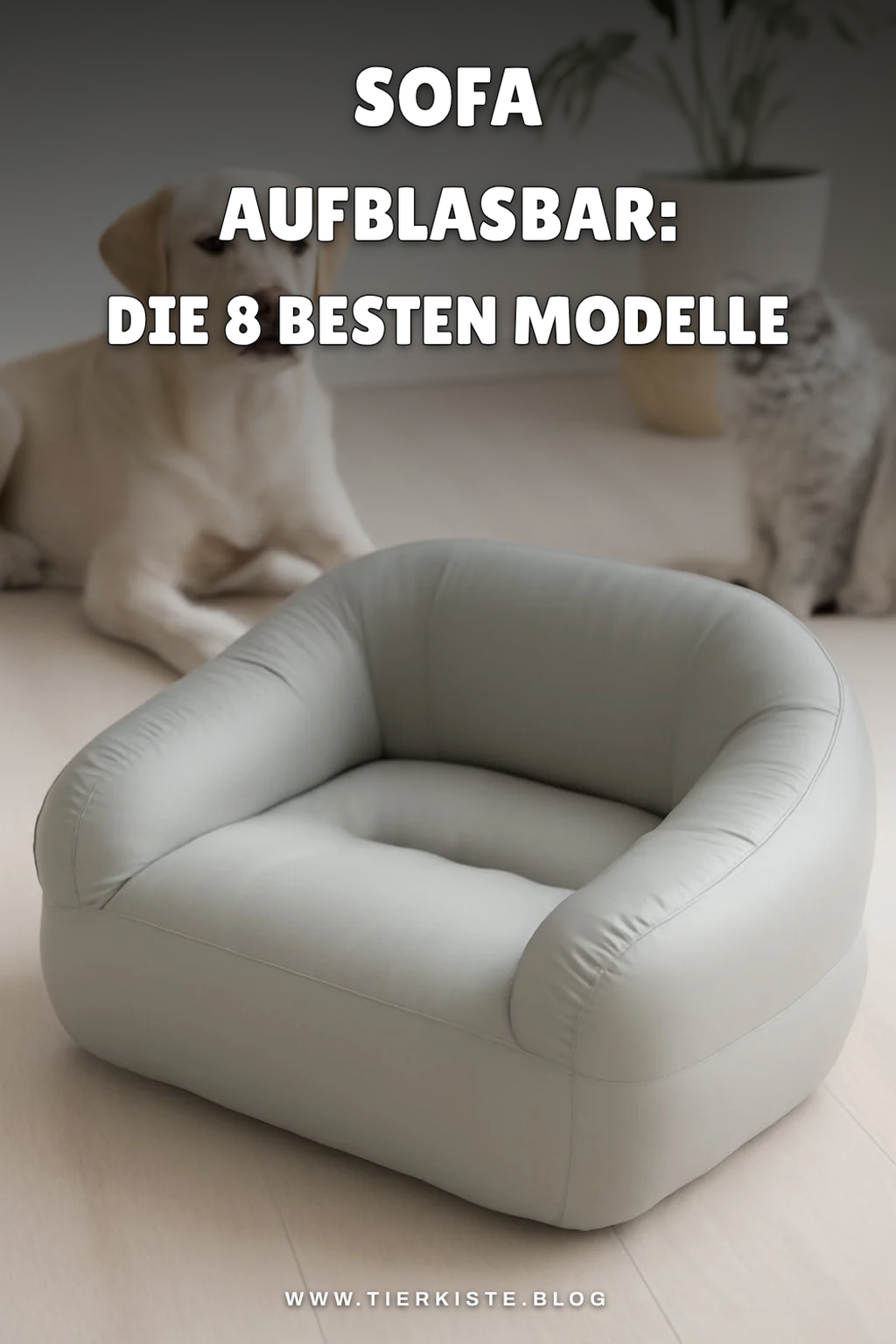 Sofa Aufblasbar: Die 8 besten Modelle 2026 im Überblick
