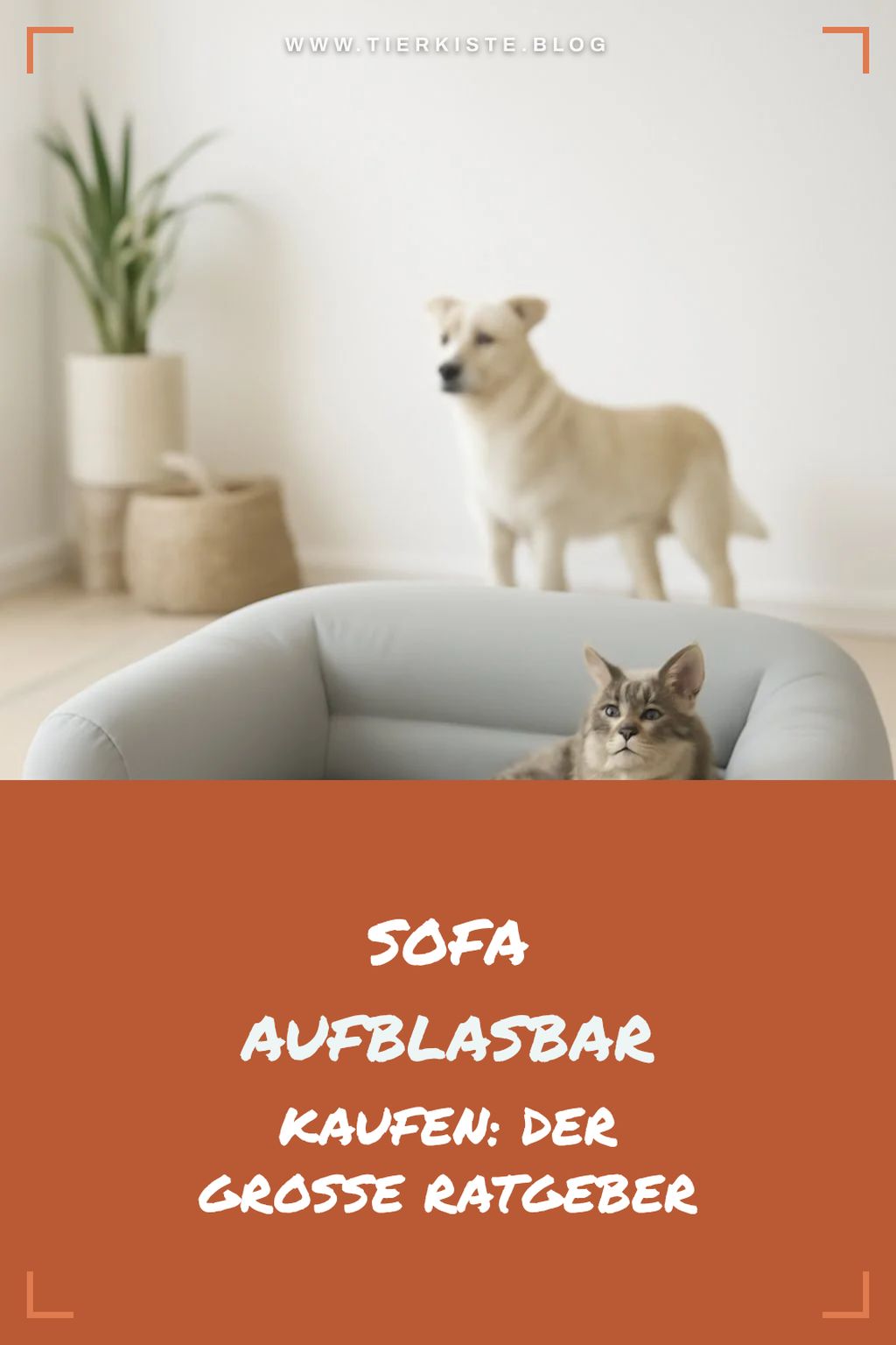 Sofa aufblasbar kaufen: Der große Ratgeber 2026